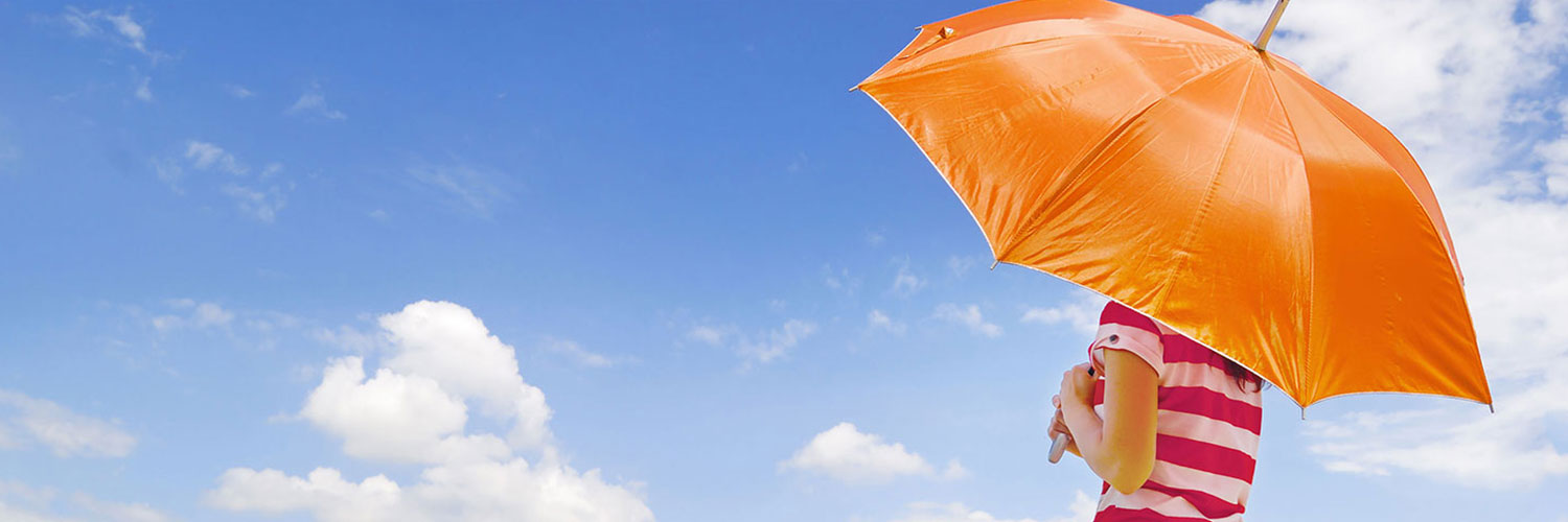 Virginia Umbrella Insurance Coverage